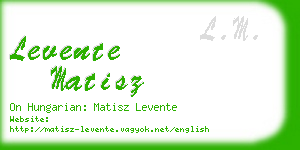 levente matisz business card